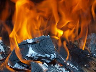 Similar image 979190