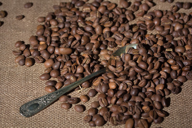 Similar image 979289