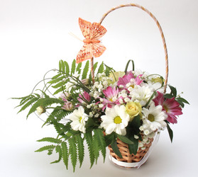 Similar image 979711