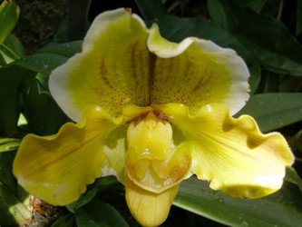 Similar image 980285