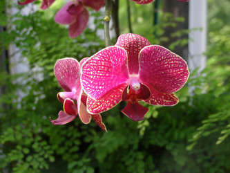 Similar image 980369