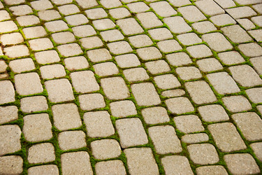 Similar image 980414