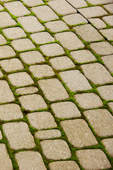 Similar image 980415