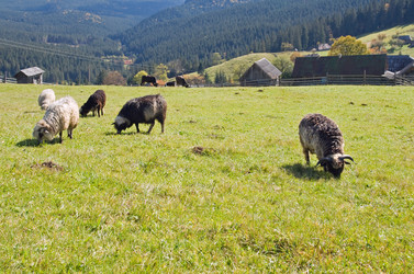 Similar image 980458