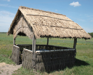 Similar image 980488