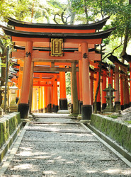 Similar image 980510