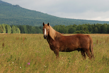 Similar image 980519