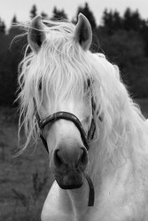 Similar image 980523