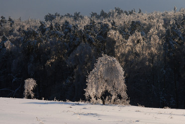 Similar image 980530