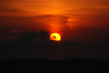 Similar image 980532