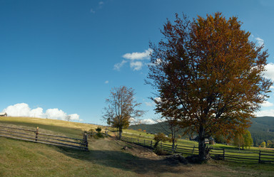 Similar image 980544