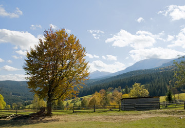 Similar image 980545