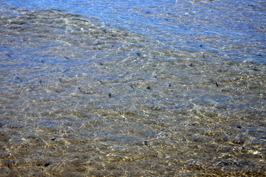 Similar image 980609