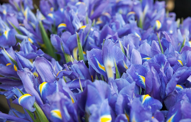 Similar image 980665