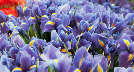 Similar image 980666