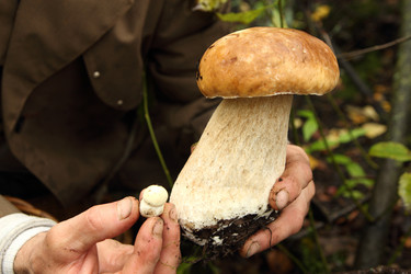 Similar image 980958