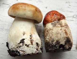 Similar image 980976