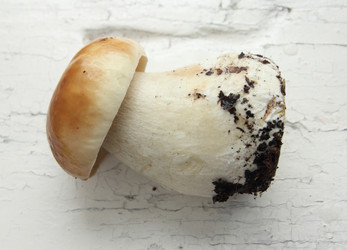 Similar image 980978