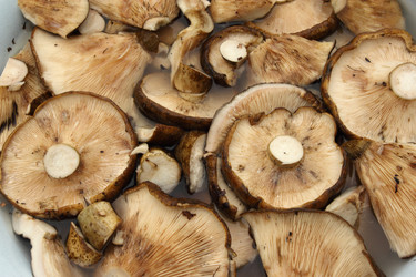 Similar image 980985