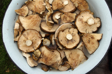 Similar image 980986