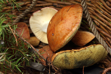 Similar image 980992