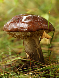 Similar image 981008