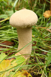 Similar image 981015