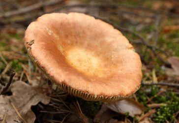 Similar image 981027