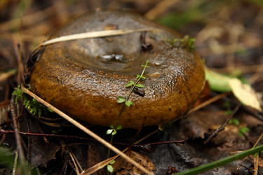 Similar image 981032