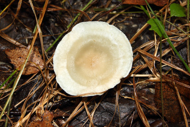 Similar image 981035