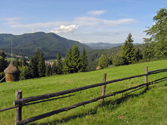 Similar image 981039