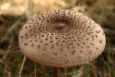 Similar image 981040