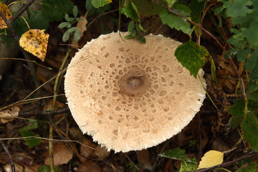 Similar image 981041