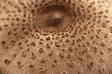 Similar image 981044