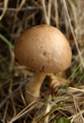 Similar image 981047