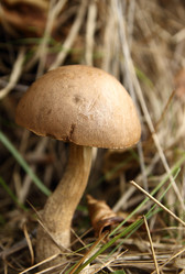 Similar image 981048