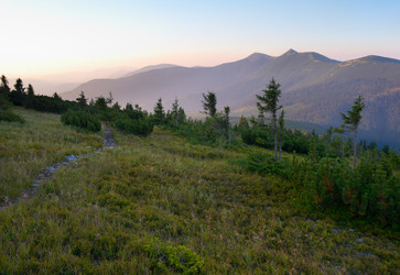 Similar image 981061