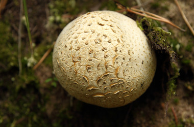 Similar image 981063