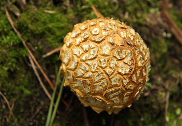 Similar image 981069