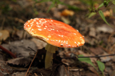 Similar image 981073