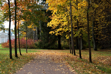 Similar image 981087