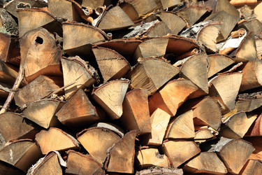 Similar image 981093