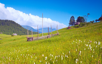 Similar image 981101