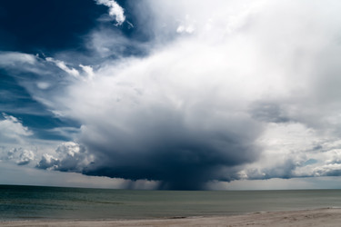 Similar image 981129