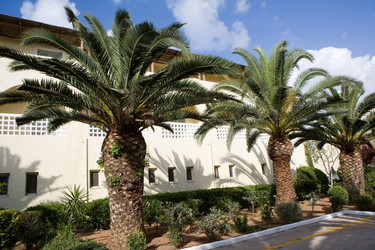 Similar image 981163