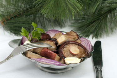 Similar image 981200