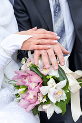 Similar image 981361