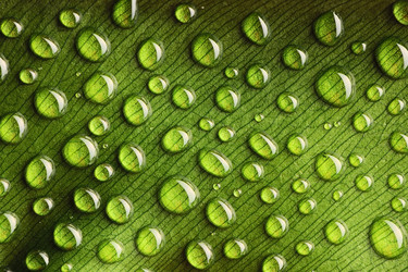 Similar image 981363