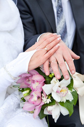 Similar image 981365