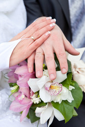 Similar image 981366